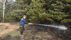 Крупный ландшафтный пожар произошёл сегодня в Шмарном Старооскольского округа