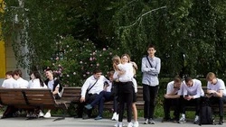 Вячеслав Гладков поручил донести до родителей информацию о новом стандарте школьной формы