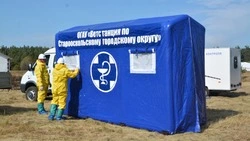 Учения по взаимодействию ветеринарных служб прошли в Старом Осколе