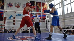 Первенство Белгородской области по боксу завершилось в Старом Осколе