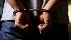 УФСБ и УМВД пресекли противоправную деятельность жителя Белгородской области