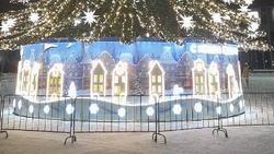 Андрей Чесноков – о дополнительном ограждении новогодней ёлки на площади Победы