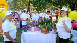 Комплексный центр социального обслуживания населения Старого Оскола отметил юбилей