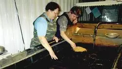 Драгоценные россыпи Усть-Неры. Как оскольчанка жила на территории мирового полюса холода