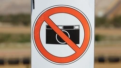 Старооскольский городской суд отправил натуриста на исправительные работы