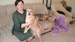 Бывшие бездомные кот и собака спасли жизни своих сородичей в Старом Осколе