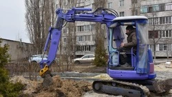 Благоустройство общественных пространств началось в Старом Осколе