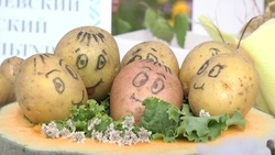 Ежегодный фестиваль картофеля собрал старооскольцев