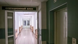 Вячеслав Гладков: белгородцы оставили 40 обращений по поводу эндопротезирования суставов