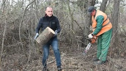 Общегородской субботник прошёл в Старом Осколе