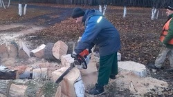 Ветер повалил в Старооскольском округе несколько деревьев