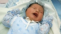 Вячеслав Гладков сообщил о рождении 360 детей в семьях участников СВО из Белгородской области