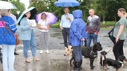 Старооскольцы обсудили проект площадок для дрессировки и выгула собак