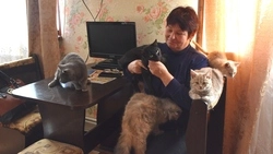 Жительница села Городище Старооскольского округа спасла выброшенных животных