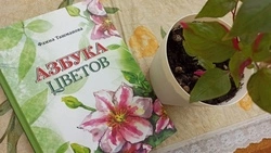 Старооскольская поэтесса стала соискателем литературной премии имени Елены Благининой