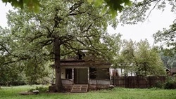 Выставка работ местных художников пройдёт в Старом Осколе