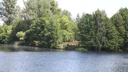 Как река Оскол обмелела