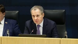 Вячеслав Гладков потребовал усилить работу ресурсных центров для помощи в получении грантов