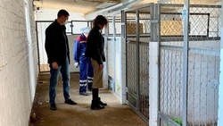«Единая Россия» поддержала гуманное отношение к животным