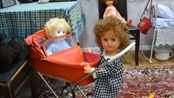 Первый частный музей советской игрушки открылся в Старом Осколе