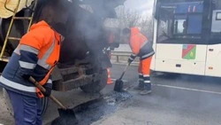 Владимир Жданов сообщил о начале ямочного ремонта на путепроводе через реку Оскол