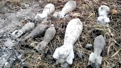 Боеприпасы времён Великой Отечественной войны обнаружили в Сорокино