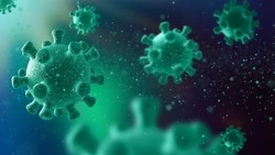 Заболеваемость коронавирусной инфекцией выросла на 30,2 % за минувшую неделю