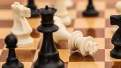 Андрей Чесноков решил проблему с переселением старооскольского шахматного клуба 