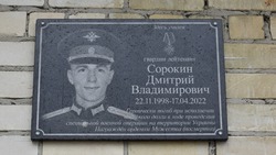 Мемориальные доски в память о героях спецоперации установлены в Старооскольском округе 