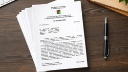 Распоряжение председателя Совета депутатов СГО от 28.11.2025 № 23-01-04