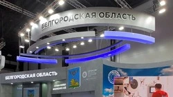 Молодёжный день прошёл в рамках XXV Международного экономического форума