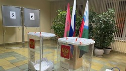 «Единая Россия» победила в 12 одномандатных округах