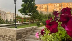 Старый Оскол отметит свой 430-ый день рождения 2 сентября