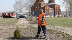 Жители Дмитриевки Старооскольского округа навели чистоту на территории