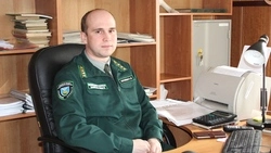 Руководство лесничества рассказало о правилах сбора валежника