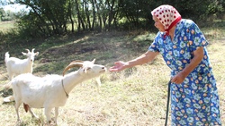 «Без козьего молока столько бы не прожила!» Жительница Городища отметила 95-летний юбилей
