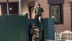 Руководитель шебекинского приюта бездомных животных попросила о помощи