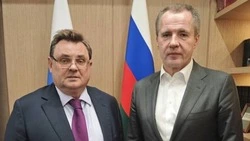 Вячеслав Гладков – об итогах встречи с министром юстиции РФ Константином Чуйченко