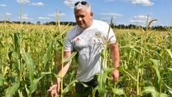 Старооскольский фермер вырастил новые культуры