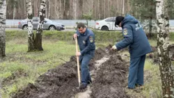 Белгородцы высадили 1000 саженцев сосны в рамках акции «Сад памяти»