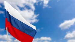Россияне отметили День Конституции РФ 12 декабря