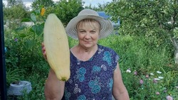 Оскольчанка поделилась опытом выращивания тыквы сорта «Розовый банан»