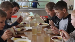 Белгородские родители продегустируют новое меню завтраков и обедов для школьников