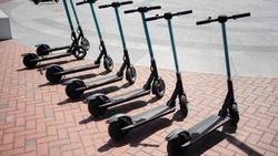 Две девочки на самокате задавили собаку в Старом Осколе