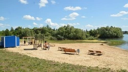 Пляж на пруду в балке «Боровец» обустроили в Городище