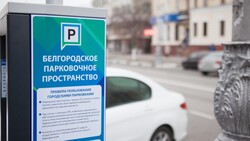 Совет депутатов упростил пользование платных парковок для инвалидов и многодетных семей