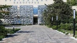 Вячеслав Гладков сообщил о старте IT-смены в санатории «Бригантина «Белогорье»