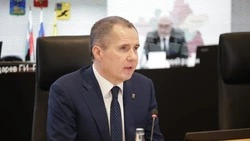 Вячеслав Гладков поручил выстроить работу по оказанию соцуслуг для белгородцев в частных пансионатах
