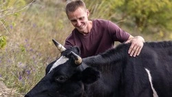 Вячеслав Гладков – о выделении 1,9 млрд рублей на реализацию программы соцконтрактов в 2026 году