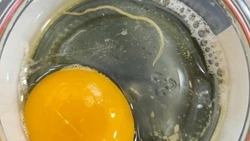 Специалисты Старооскольской ветстанции нашли возбудителя аскаридиоза в домашних куриных яйцах